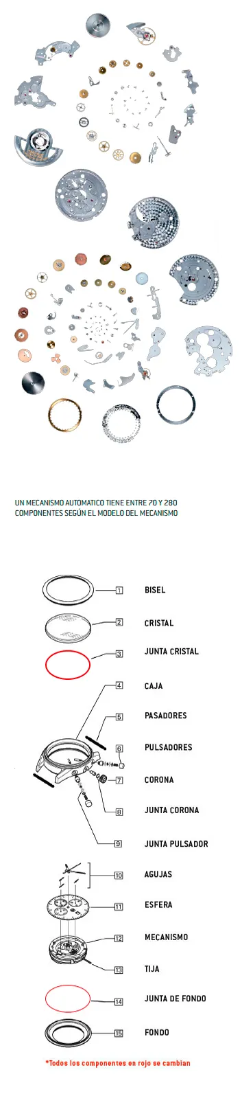 Piezas de un mecanismo automático desmontado. Un mecanismo automático tiene entre 70 y 280 componentes según el modelo del mecanismo. Debajo, el despiece del reloj; todos los componentes en rojo se cambian: la junta del cristal y la junta de fondo.